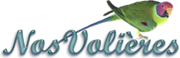 NVC